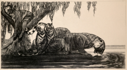 Auction by Thierry de Maigret SVV du 24/11/2005 - Grands tigres s'abreuvant (lot n°253)